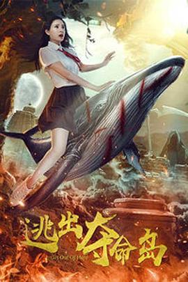 91视频一区二区三区