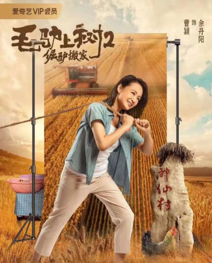 美女福利视频一区二区