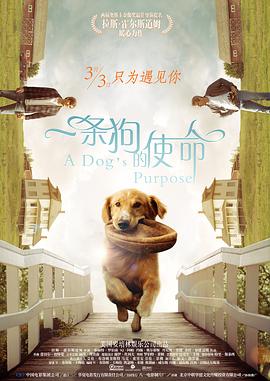 新大妈的呻吟