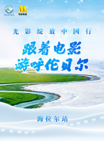 淫虎网站