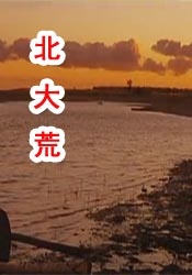 免费成人深夜夜行视频