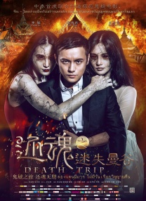 久久亚洲国产成人亚