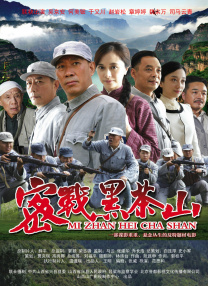 亚洲精品国产不卡在线观看
