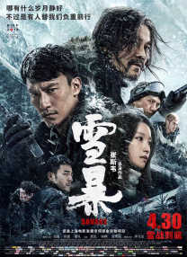 国内精品久久久久精品一本