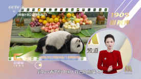 火影黄漫
